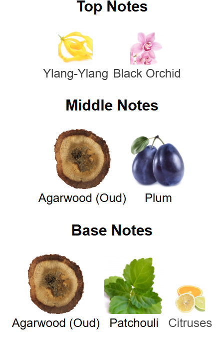 Oud 24 Hours Majestic Gold Ard Al Zaafaran