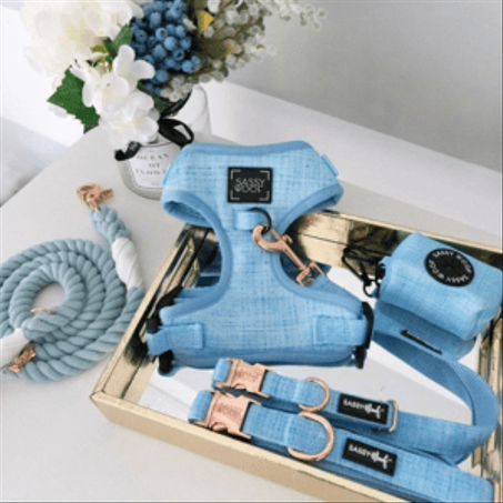 اكسسوارات الحيوانات