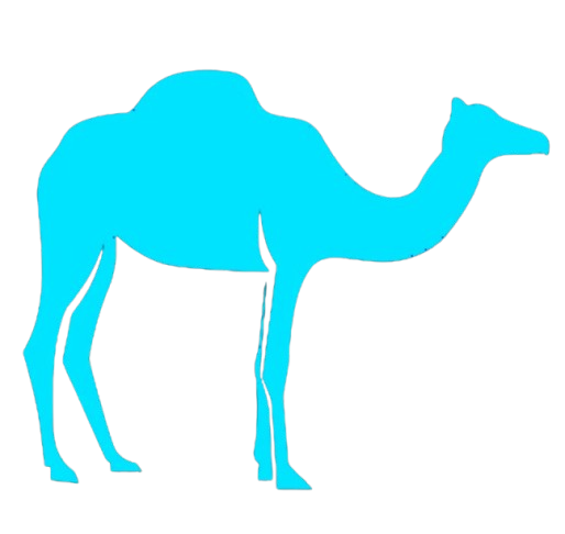ARABCAMEL