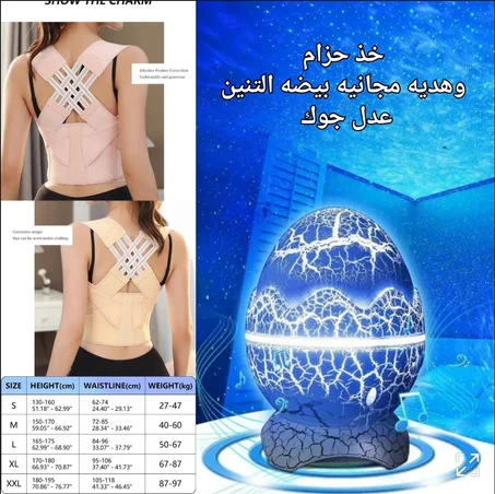 حزام الظهر الطبي وهديه مجانيه عرض العيد