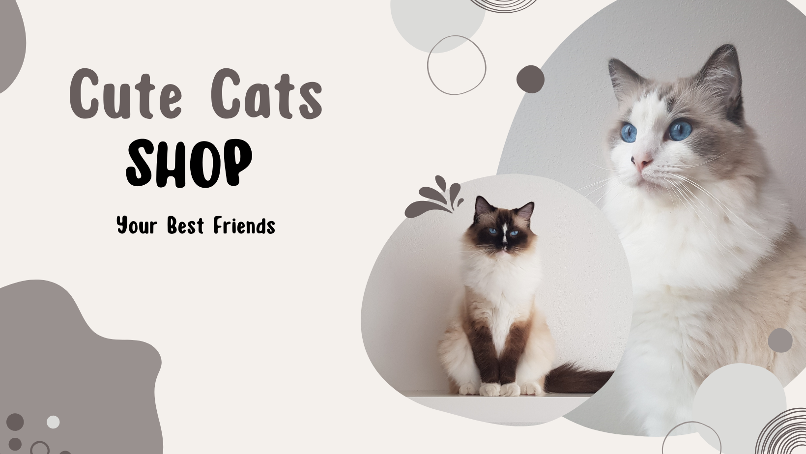 Cute 2024 cat shop