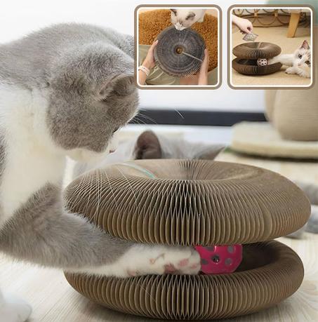 مكشطة للقطط