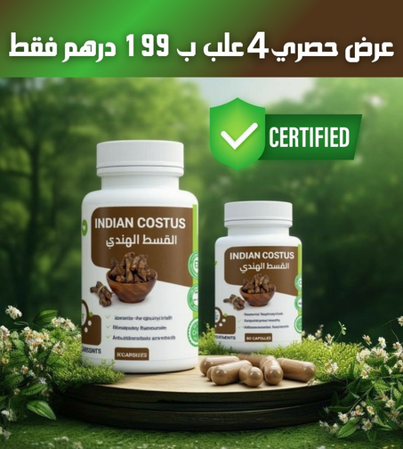 Indian costus
