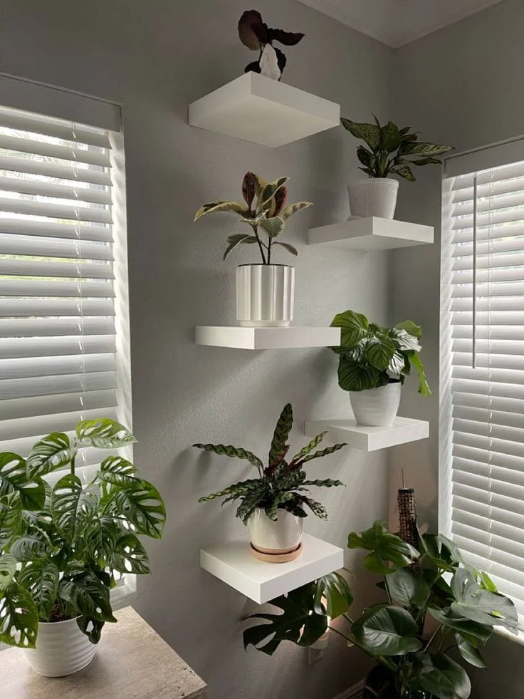 Étagères élégances