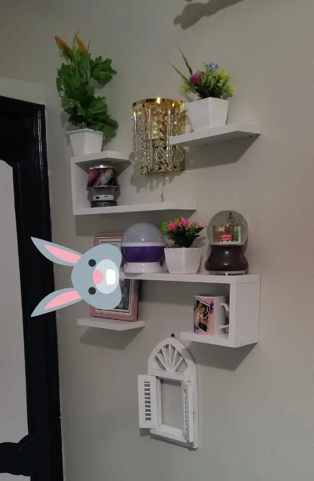 Etagères murale XC25