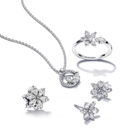 المجوهرات والإكسسوارات