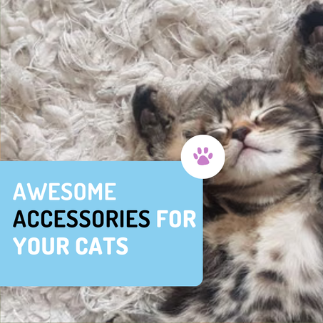 CATS ACCESSORİES