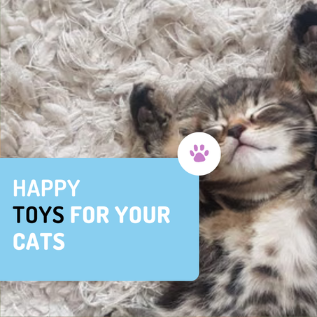 CATS TOYS