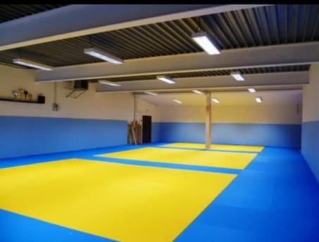 Tapis tatami sport