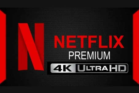 NETFLIX 1 Ecran 35 Jours