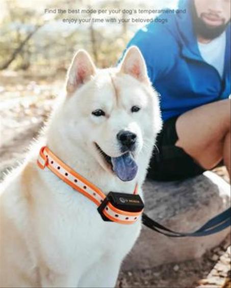 ROJECO 1000m électrique collier de dressage de chien télécommande collier de dressage pour animaux de compagnie