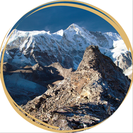 Himalayan Shilajit
