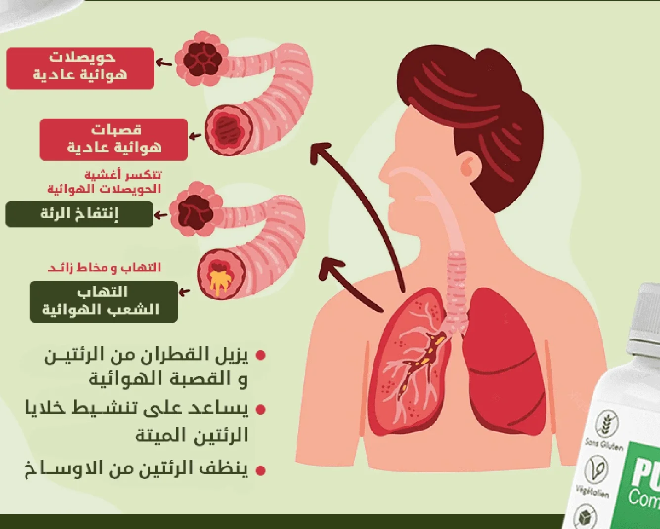 Capsule Désintoxication Poumon
