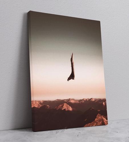 4لوحة عسكرية طائرة آصلية