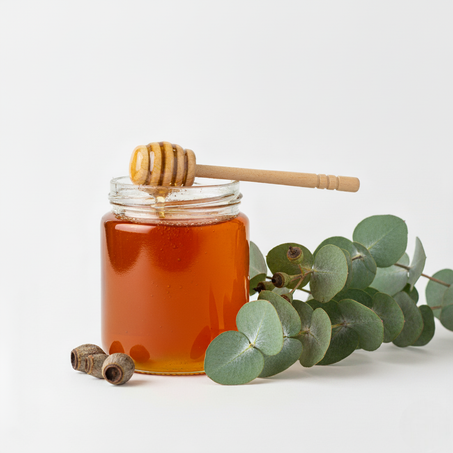 عسل الكاليبتوس