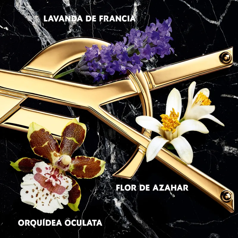 Libre Eau de Parfum Intense