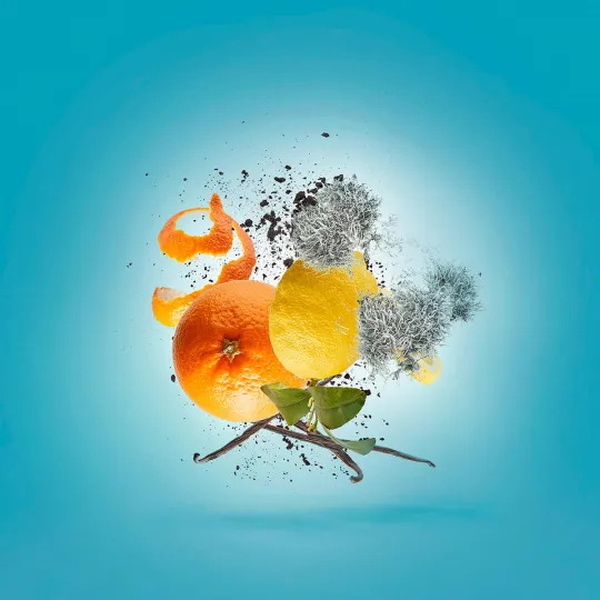 Xerjoff ERBA PURA EAU DE PARFUM