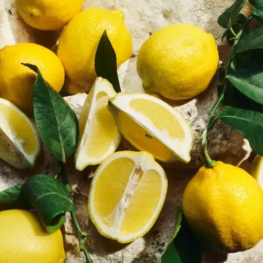 Dolce&Gabbana Light Blue New Eau de Toilette