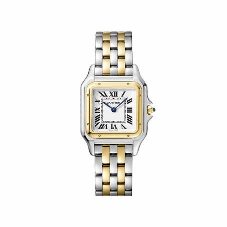 Panthère de Cartier Two-Tone