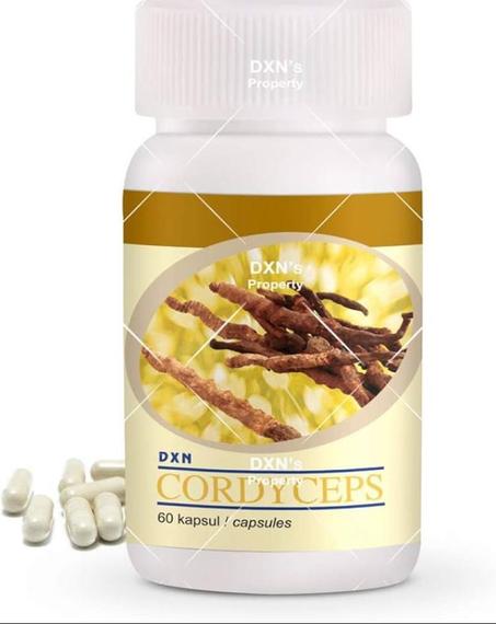 فطر كوردسيبس