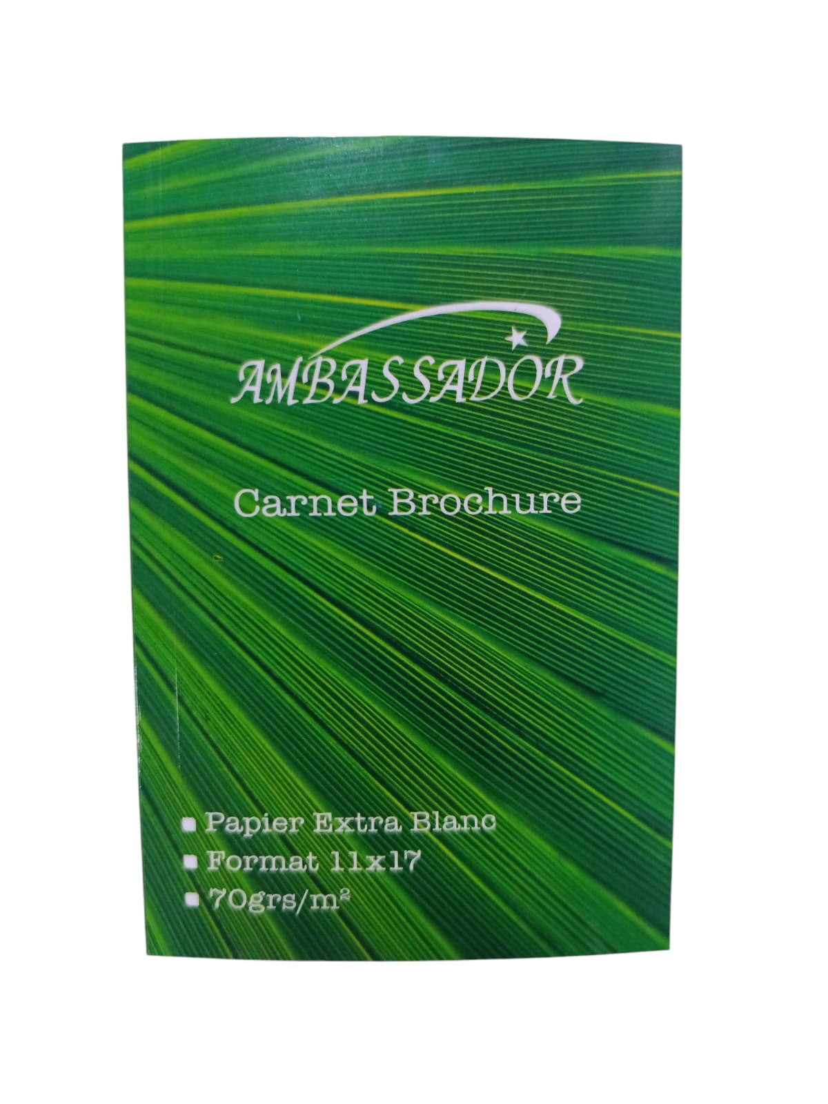 Carnet brochure son spiral N4 11X17 AMBASSADOR