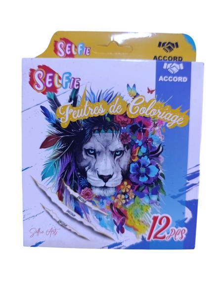 Feutre de coloriage 12 couleurs SPM0245 ACCORD
