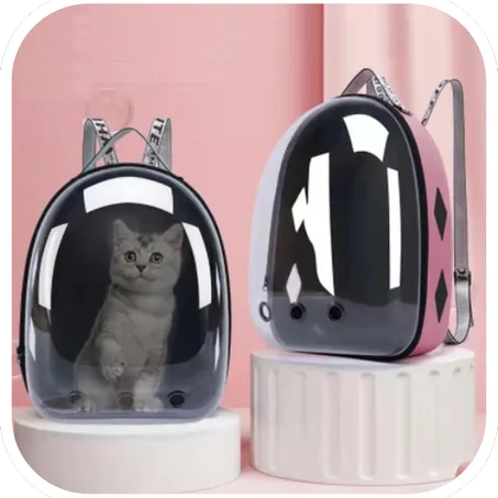 H&M-CLEAR-BAGBACK™