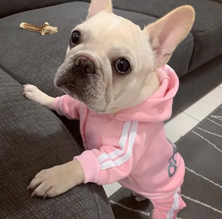 ADIDOG Hoodies