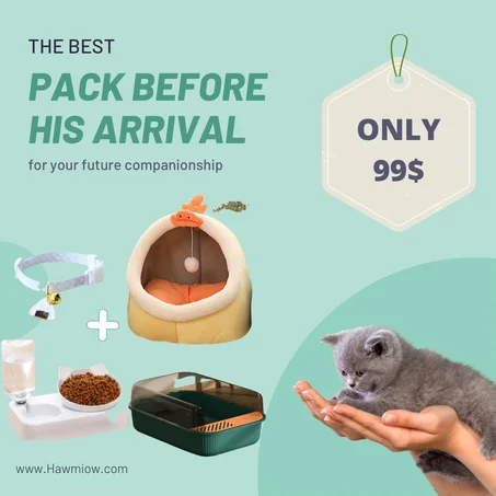 pack before his arrival