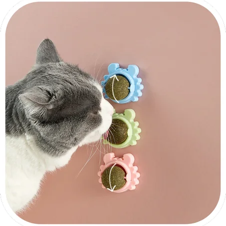 H&M-Healthy catnip toys