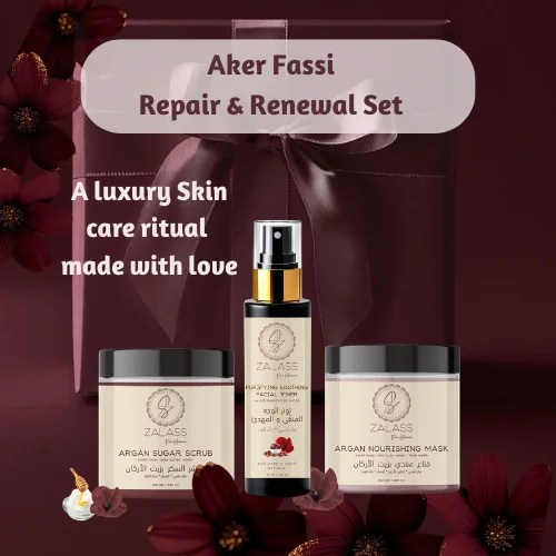 Aker Fassi  Repair & Renewal Set