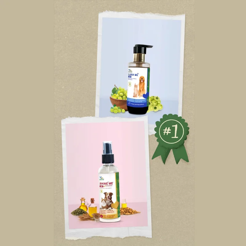 عرض علاج التساقط والتشابك