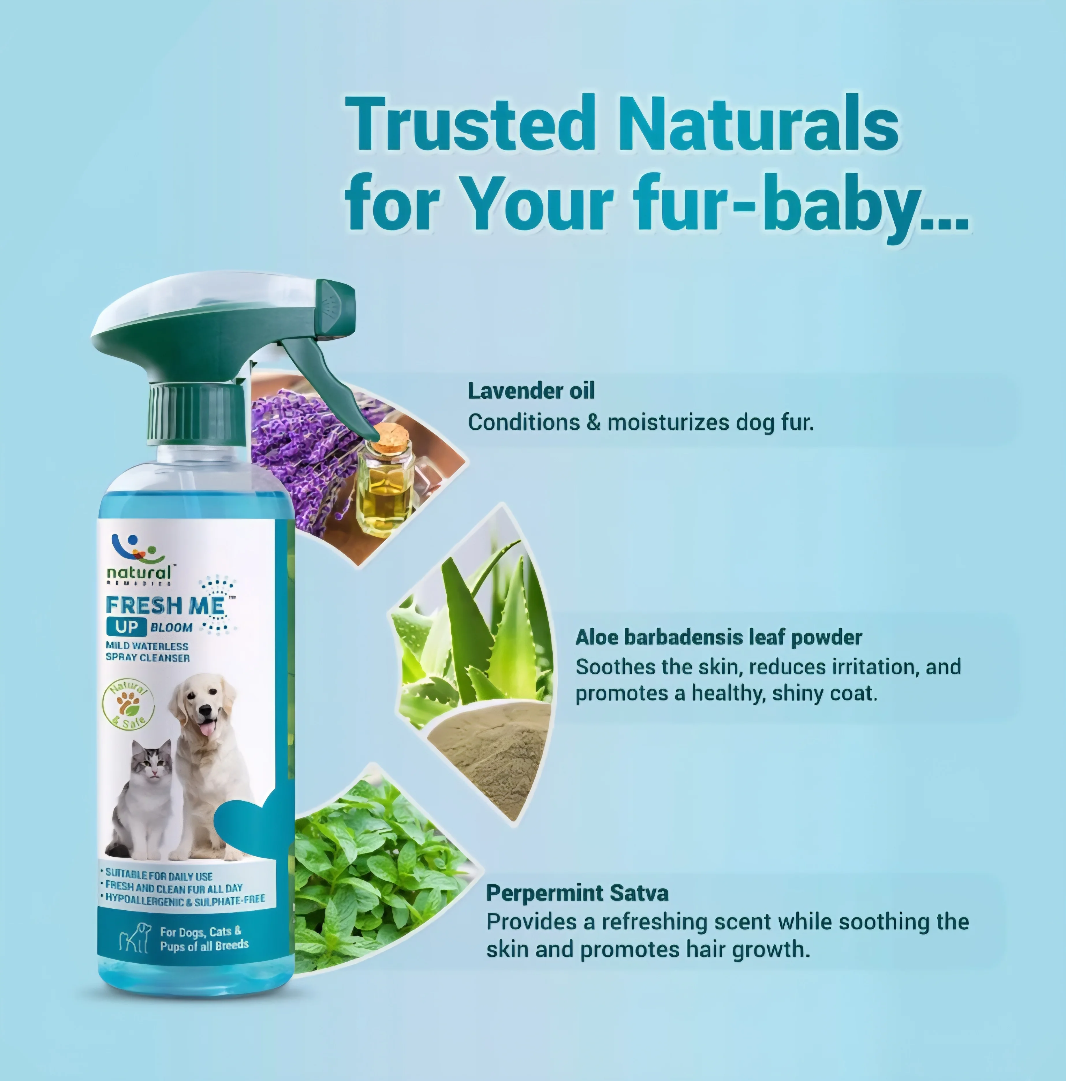 Fresh Me Up Bloom  Waterless Spray Cleanser