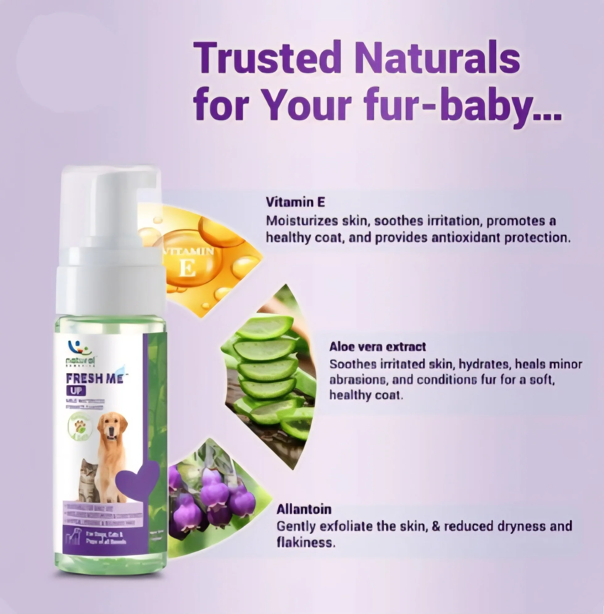 Fresh Me Up  Waterless Foam Cleanser