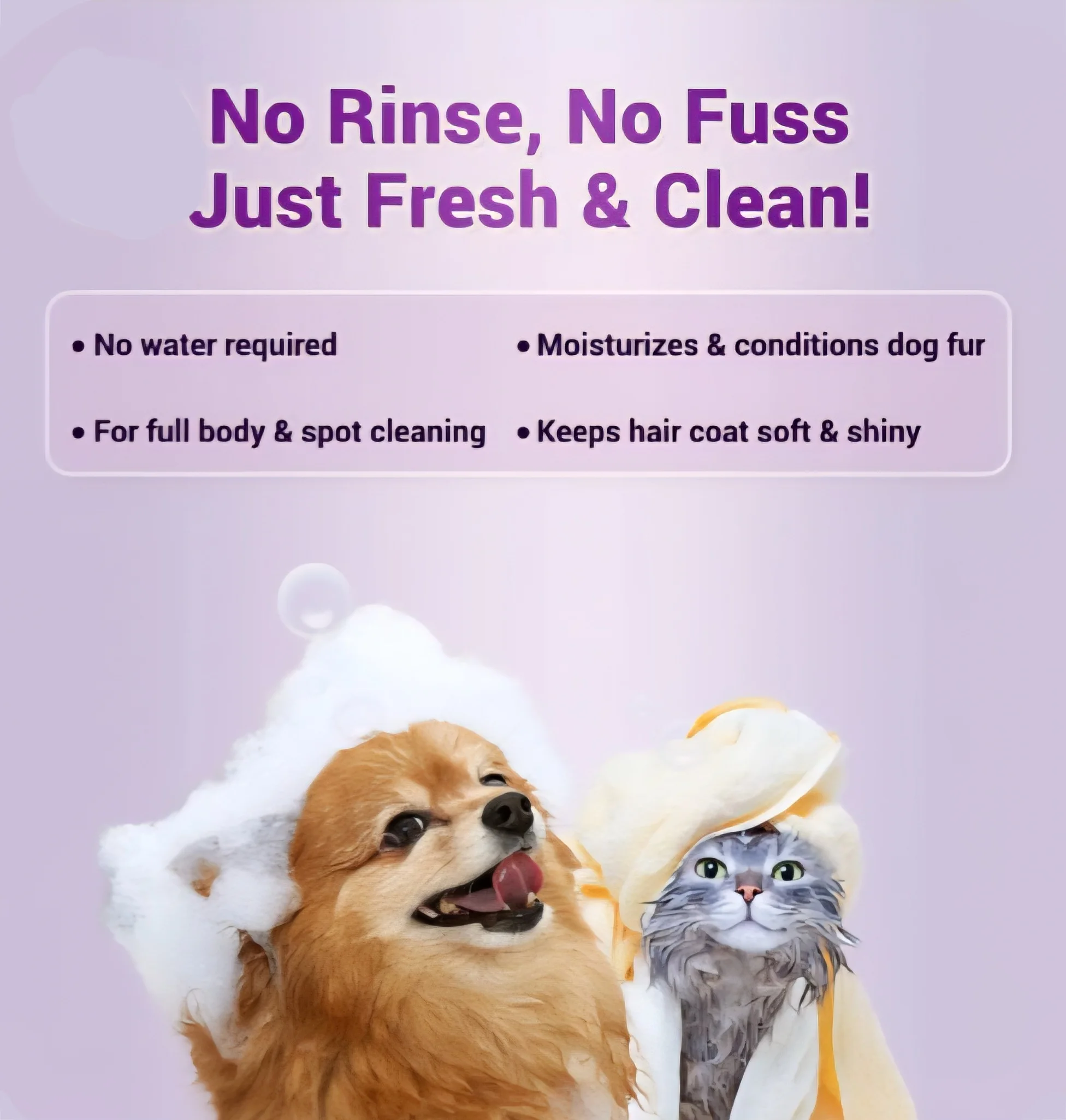 Fresh Me Up  Waterless Foam Cleanser