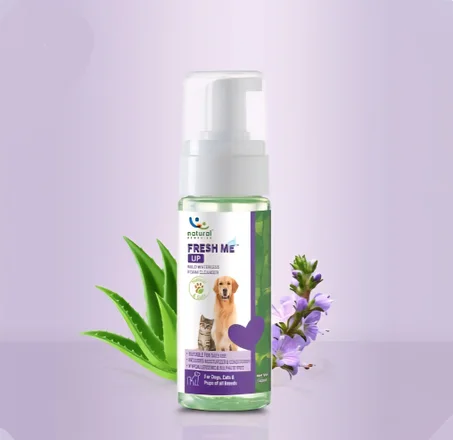 Fresh Me Up  Waterless Foam Cleanser