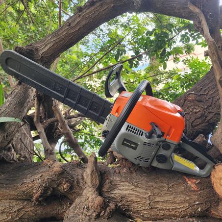 🪓 منشار البنزين القوي 49cc – خدمتك فالغابة بثمن زوين!