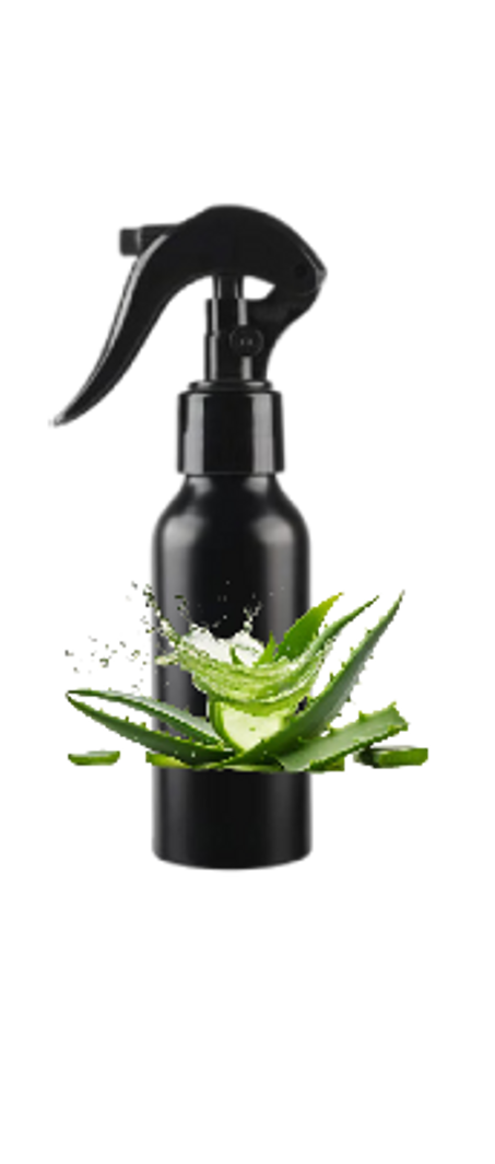 Spray / désodorisant "Aloe vera الصبار"