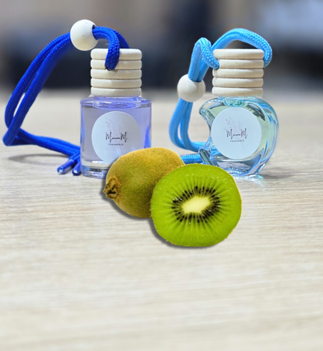 Diffuseur d'ambiance pour voiture "Kiwi كيوي"