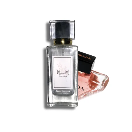 Inspiration de "Prada Paradoxe"