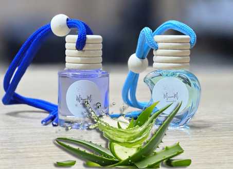Diffuseur d'ambiance pour voiture "Aloe vera الصبار"