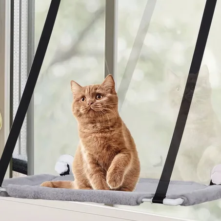 Double Stack Kitty Sill Cat