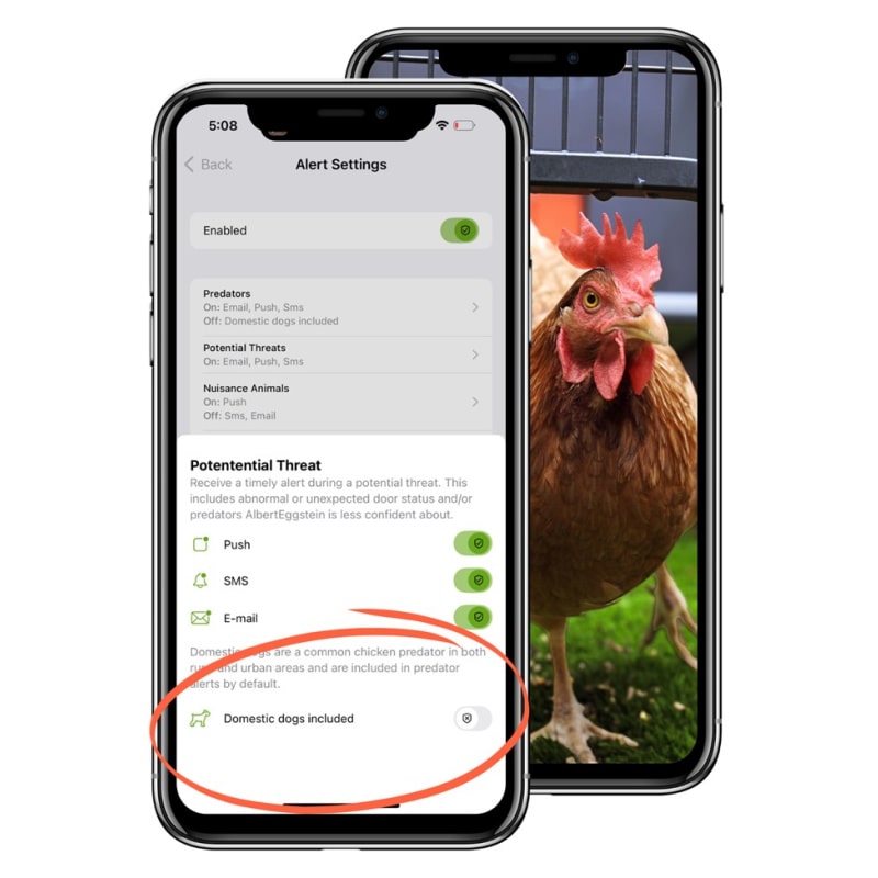 Coop The Smart Coop with Steel Run & Base for 4-6 chickens