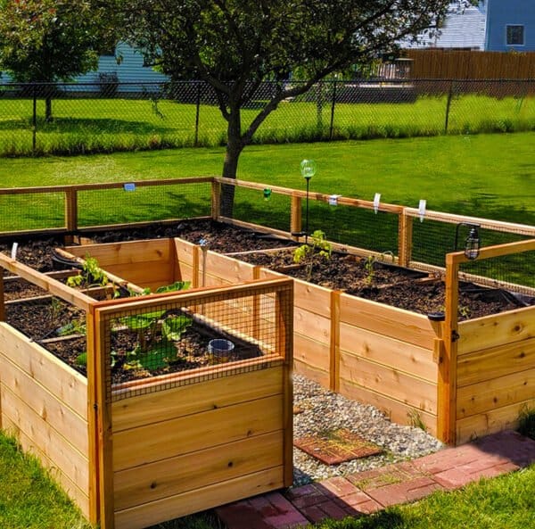 Raised Garden Bed | 8×12 The Ultimate Raised Garden Bed for Any Gardener