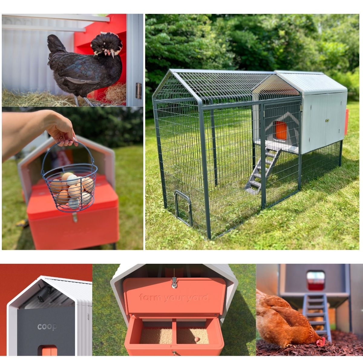 Coop The Smart Coop with Steel Run & Base for 4-6 chickens