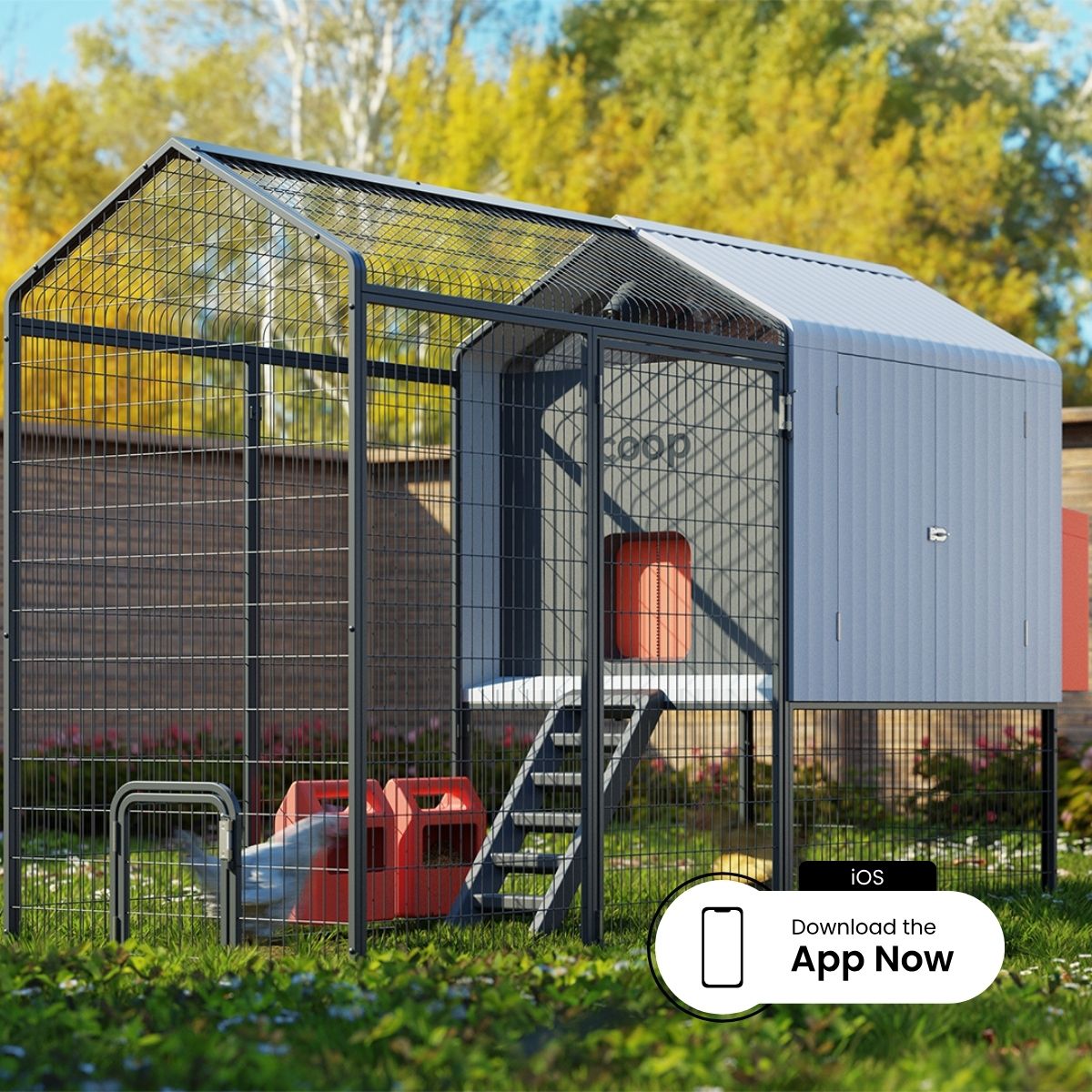 Coop The Smart Coop with Steel Run & Base for 4-6 chickens