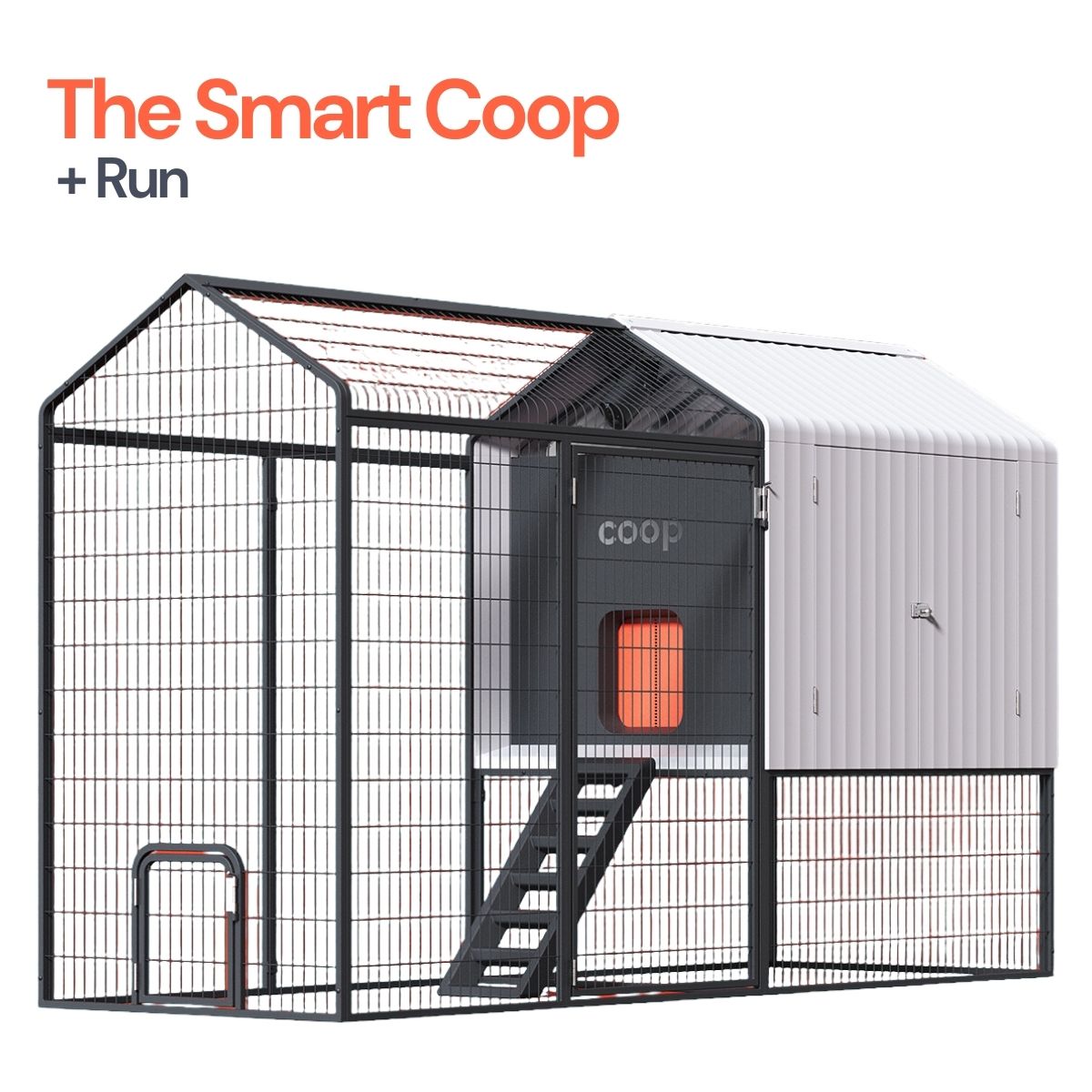 Coop The Smart Coop with Steel Run & Base for 4-6 chickens