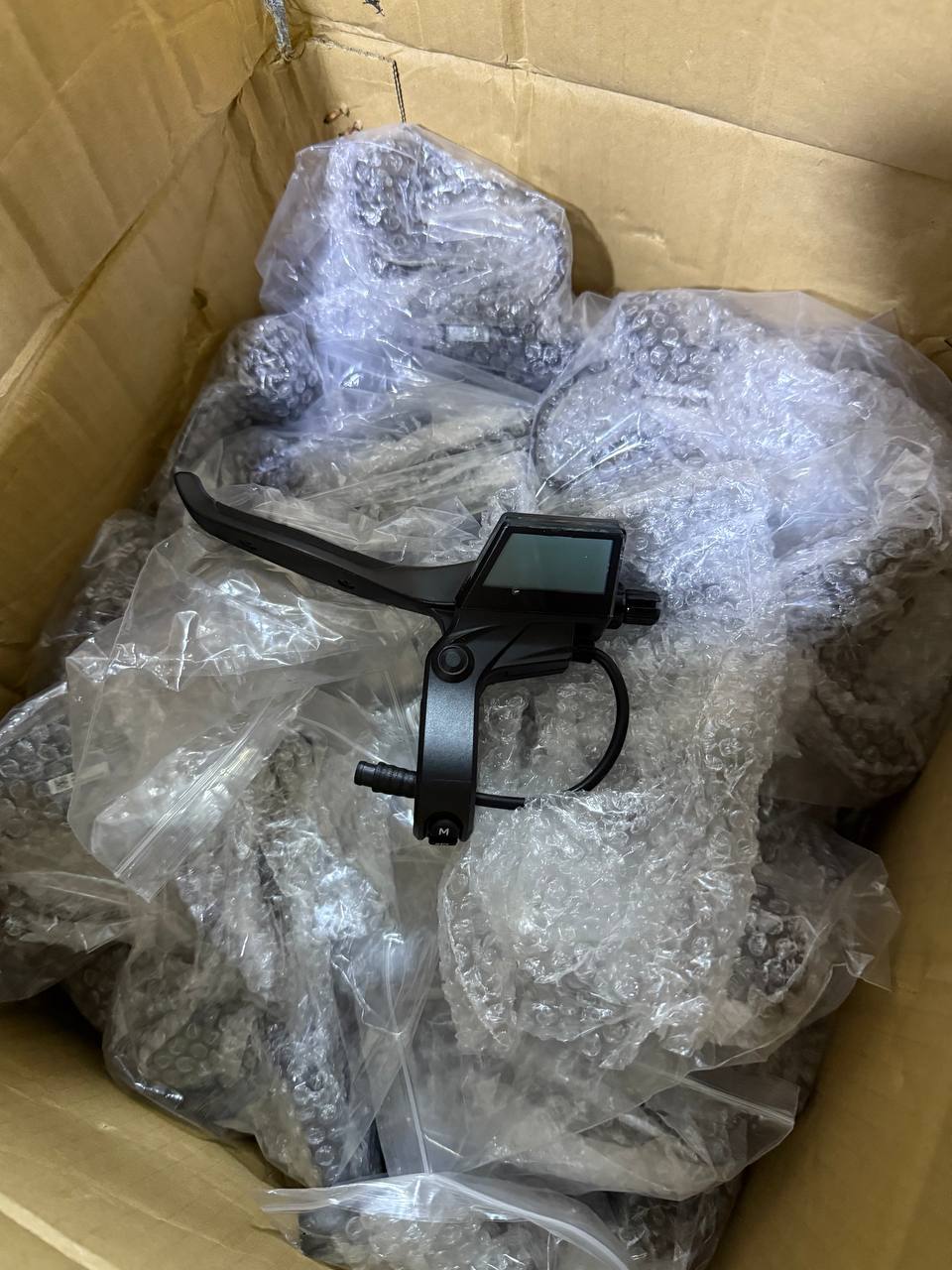 Dashboard bison originale