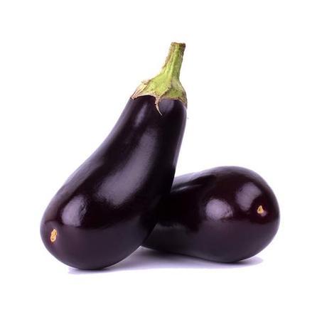 باذنجان-Aubergine