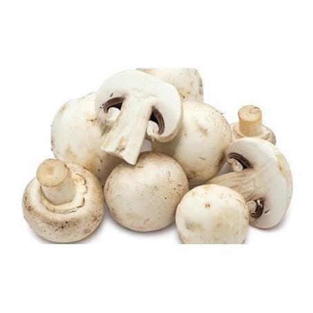 فطر-Champignons